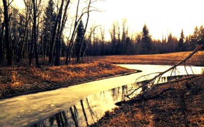 Sometimes the River Goes Around a Bend to a Dead End